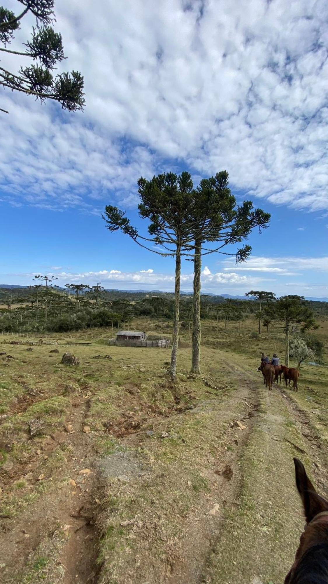 Vale Tancon Eco Village ウルビシ エクステリア 写真